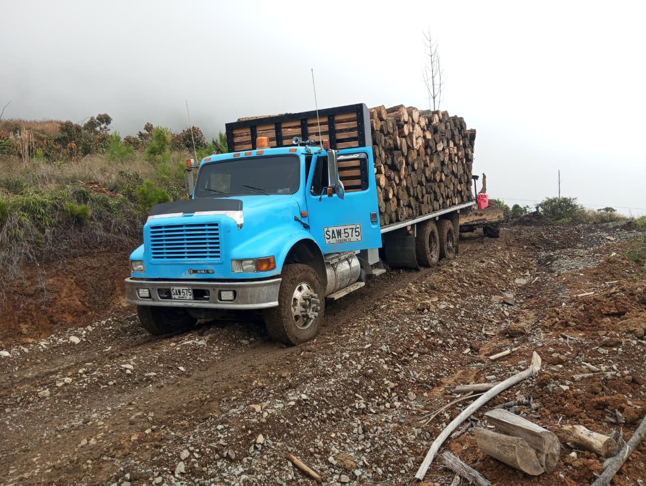 Requisitos para transportar madera en Colombia - Rio Frio